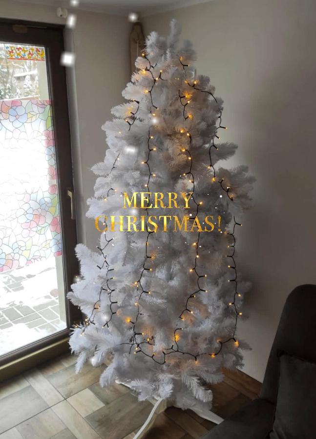 Apartament Domek Brenia Brenna Zewnętrze zdjęcie